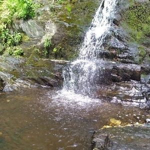 Meet your Posher, Todd